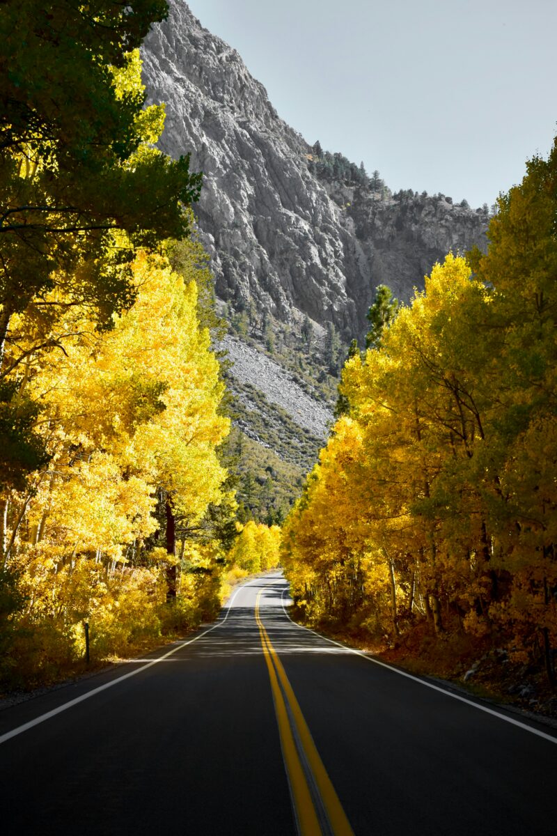 Highway 395 Fall Road Trip: Best Stops & Fall Colors