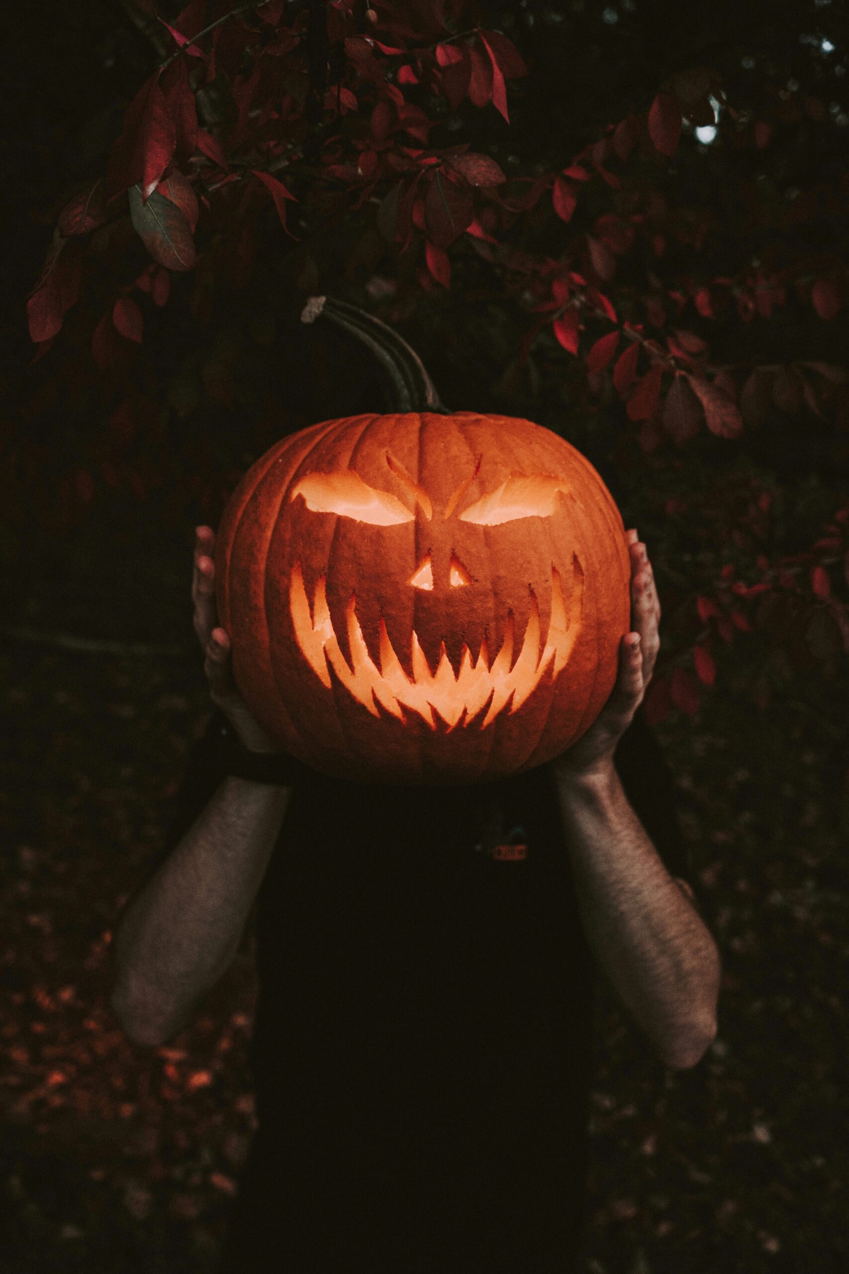 Best Halloween Events in California (2026 Guide)