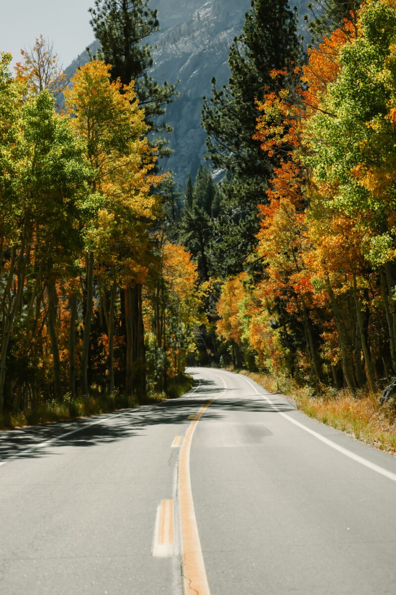 20 Best Small Towns in California to Visit in the Fall